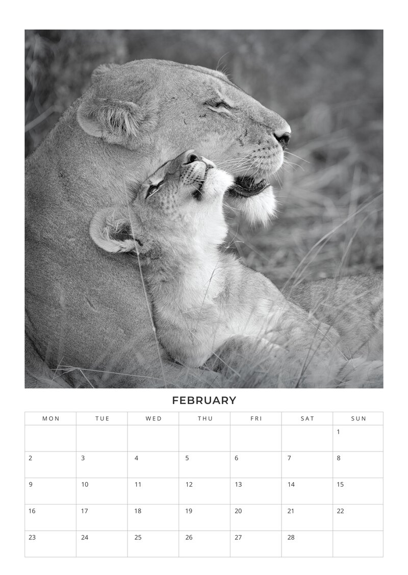 2026 African Wildlife Calendar