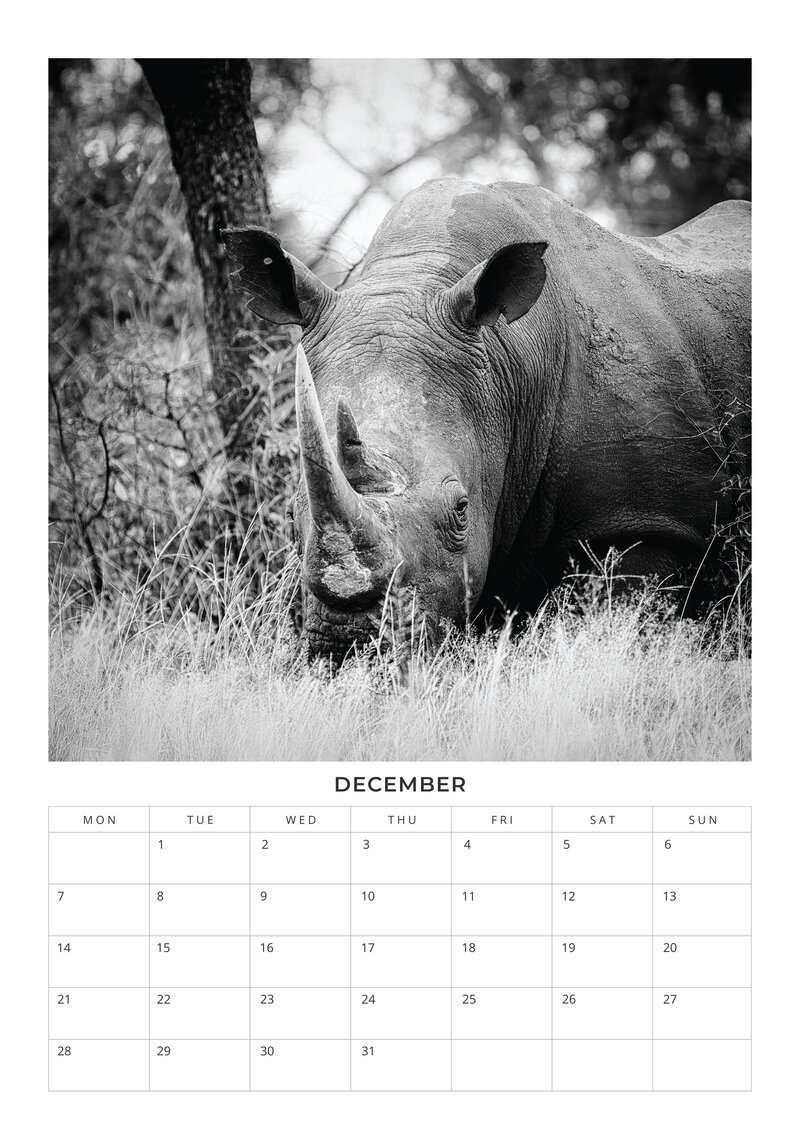 2026 African Wildlife Calendar
