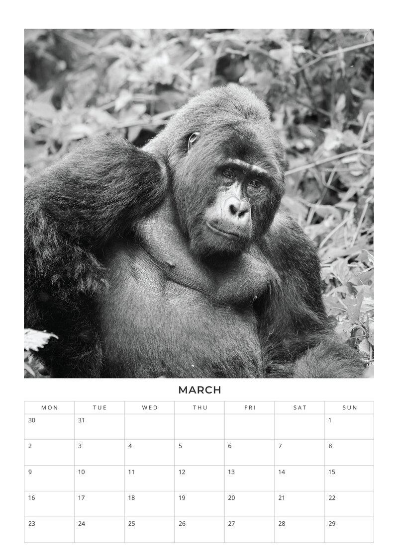 2026 African Wildlife Calendar