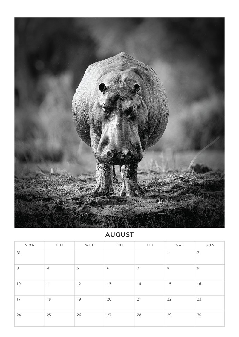 2026 African Wildlife Calendar