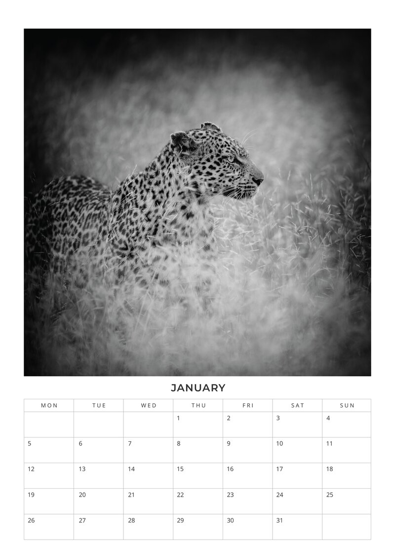 2026 African Wildlife Calendar