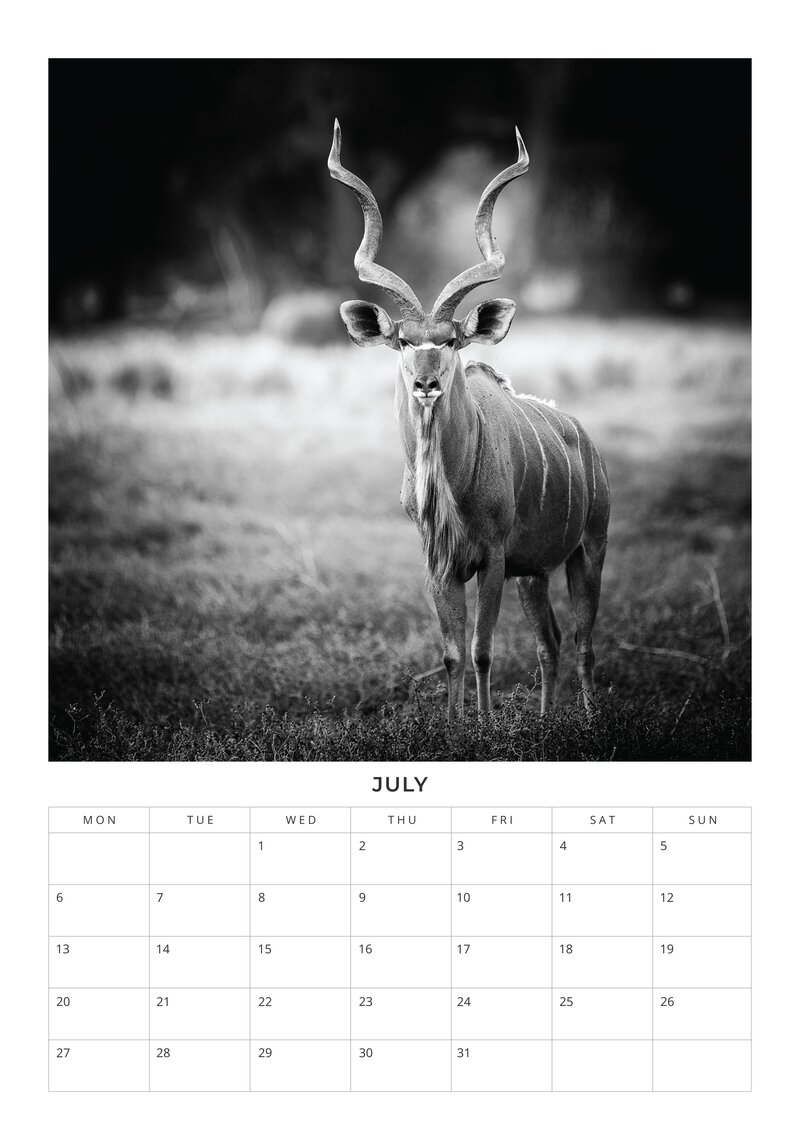 2026 African Wildlife Calendar