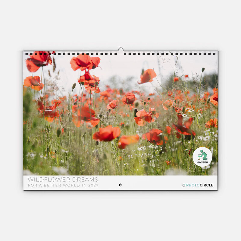 Wildflower Dreams 2027 Planner & Organizer