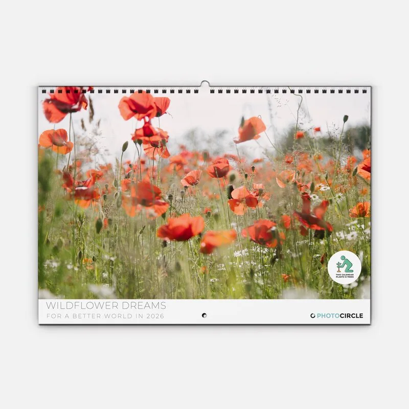 Wildflower Dreams 2026 Planner & Organizer