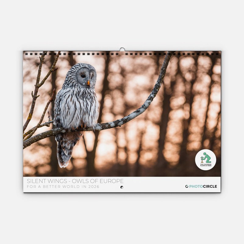 Owl 2026 Planner & Organizer – Silent Wings by Anskar Lenzen