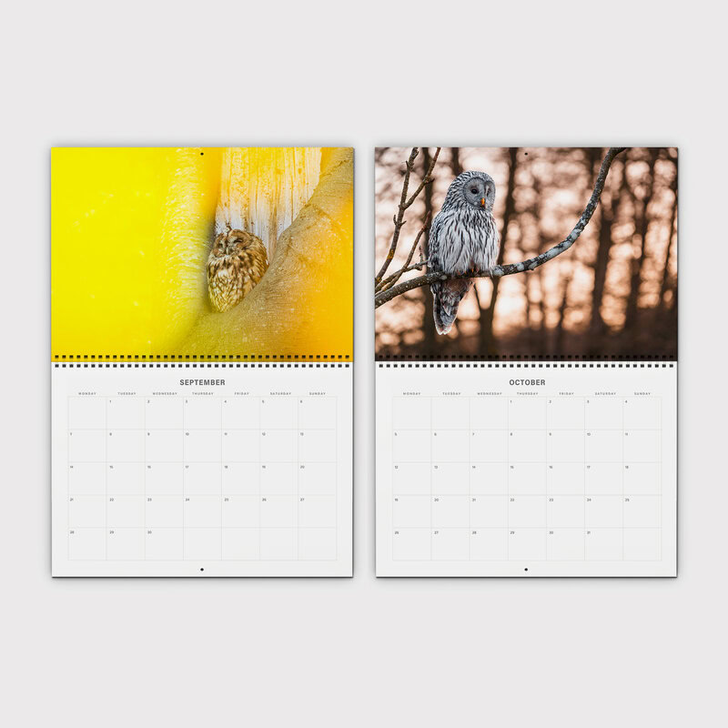 Owl 2026 Planner & Organizer – Silent Wings by Anskar Lenzen