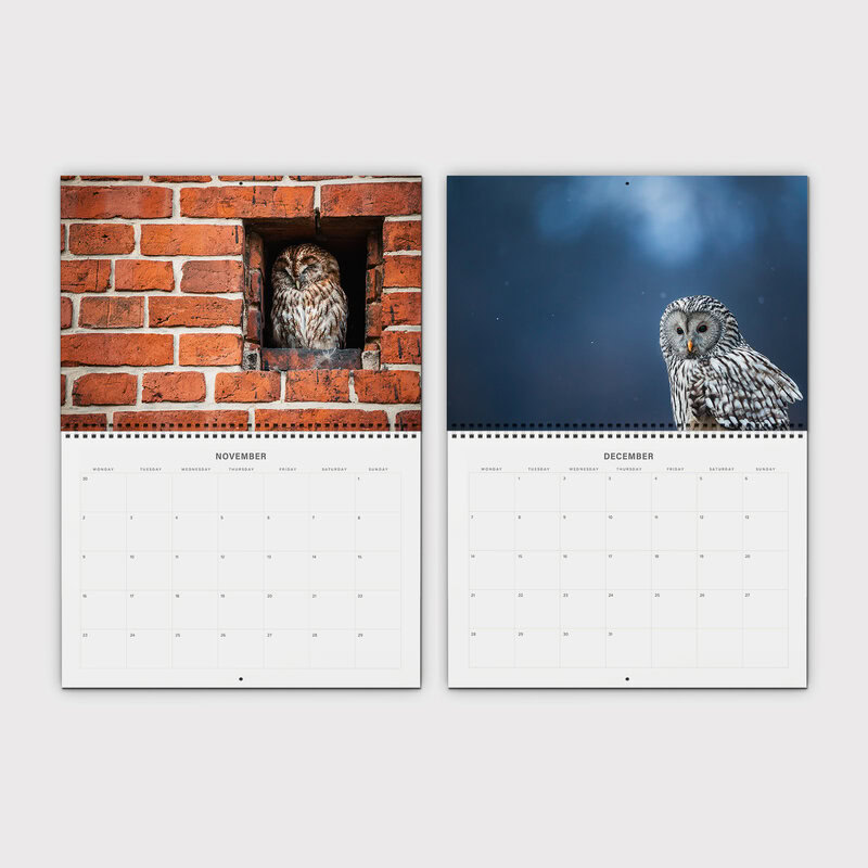 Owl 2026 Planner & Organizer – Silent Wings by Anskar Lenzen