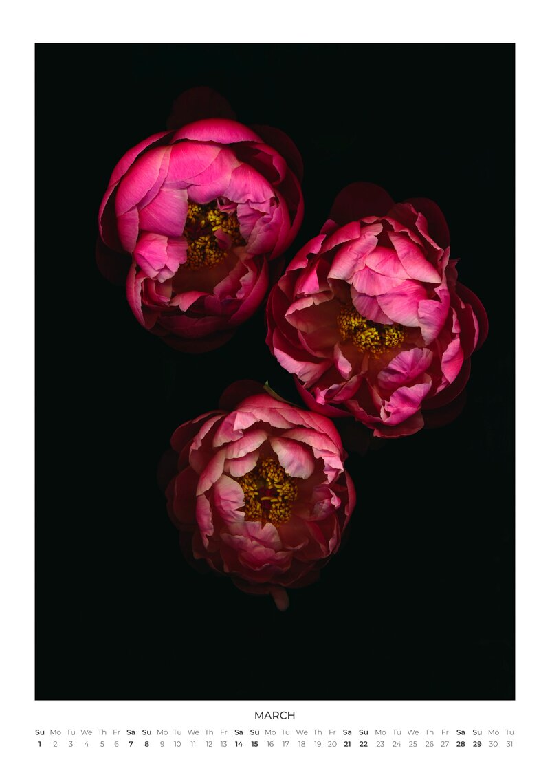 Julia & the Others 2026 Wall Calendar