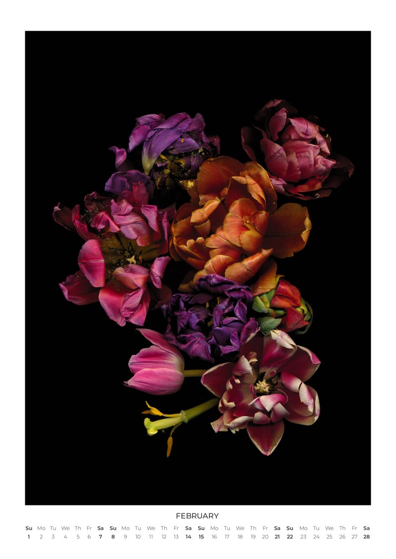 Julia & the Others 2026 Wall Calendar