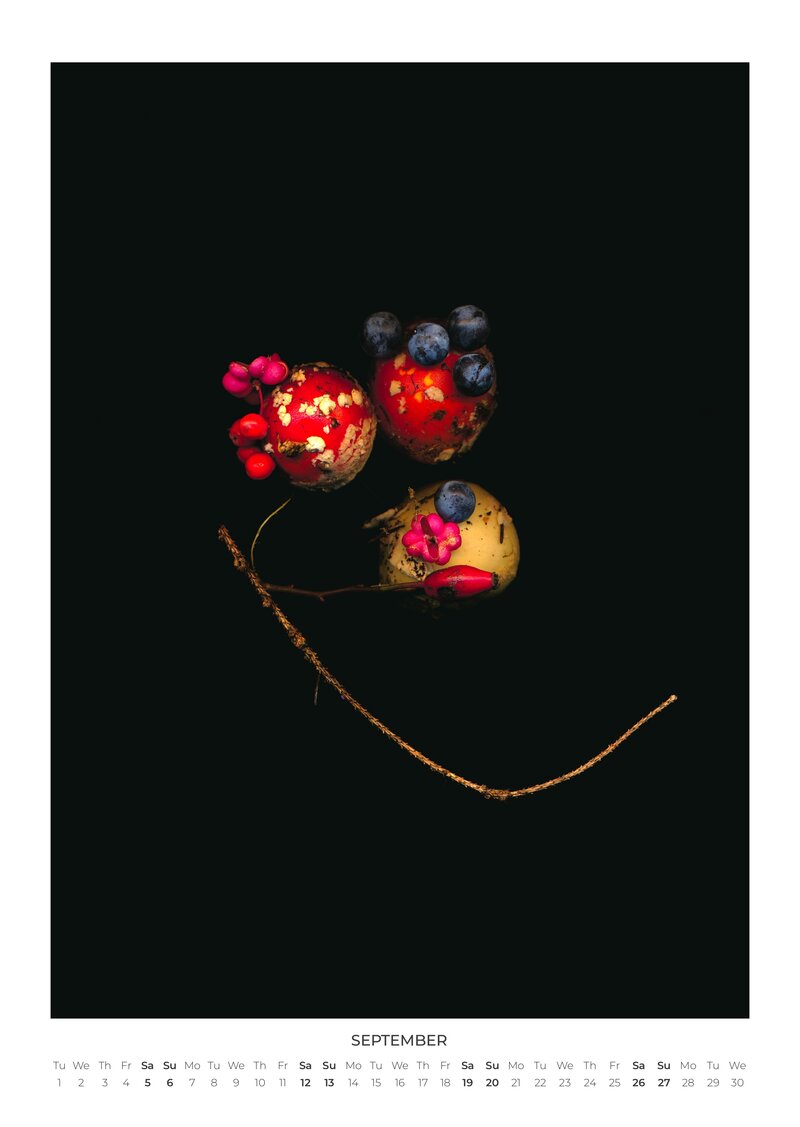 Julia & the Others 2026 Wall Calendar