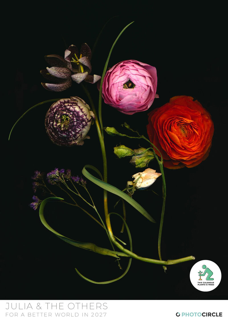 Julia & the Others - Flower Wall Calendar 2027