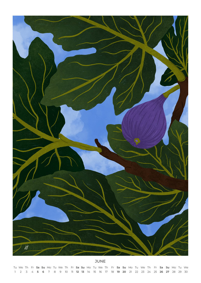Quiet Hours Calendar 2027 | Dreamy Illustrations by Jota del Jai