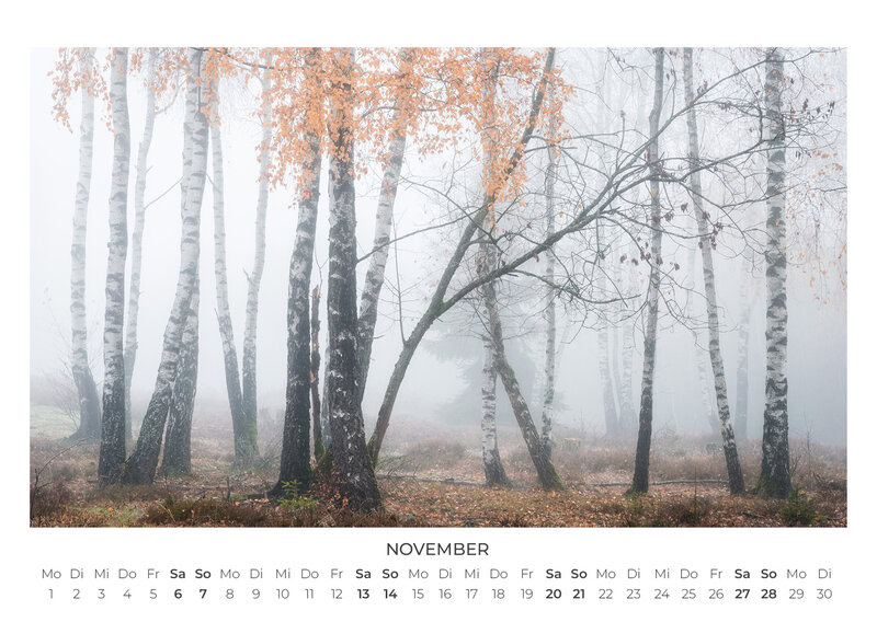 Die Sprache der Bäume Kalender 2027