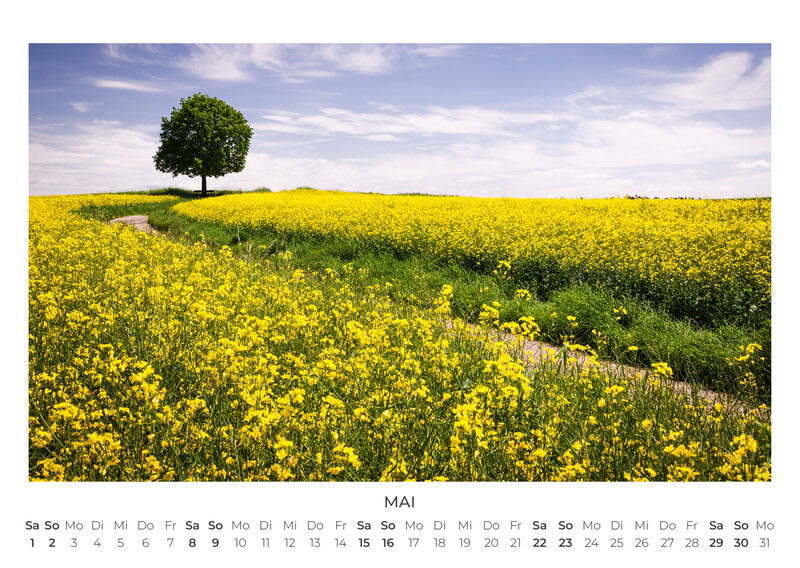 Die Sprache der Bäume Kalender 2027