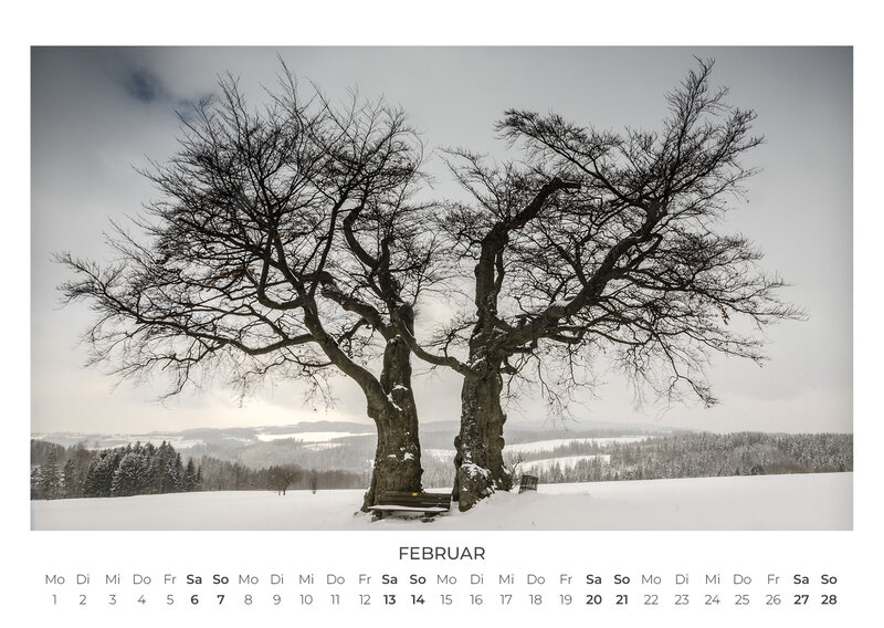 Die Sprache der Bäume Kalender 2027