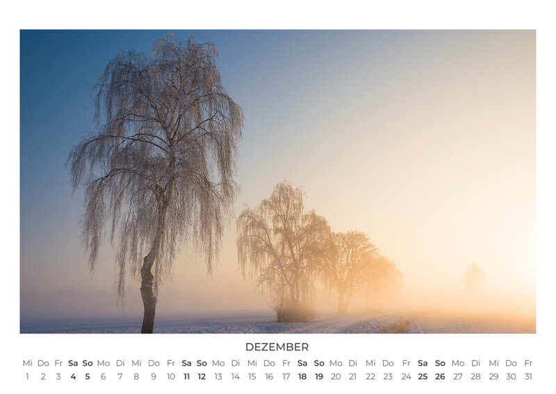 Die Sprache der Bäume Kalender 2027