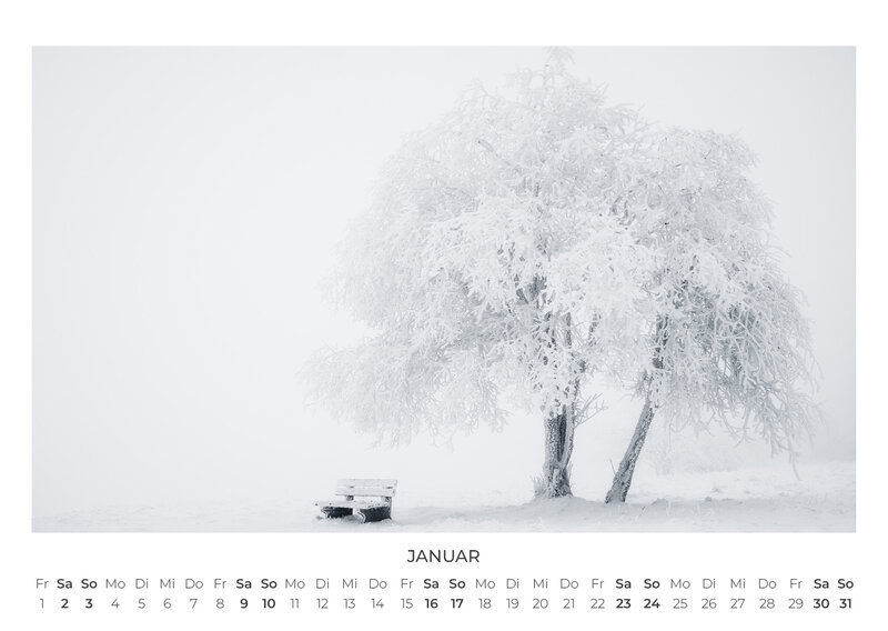 Die Sprache der Bäume Kalender 2027