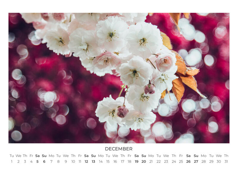 2026 Wildflower Dreams Calendar