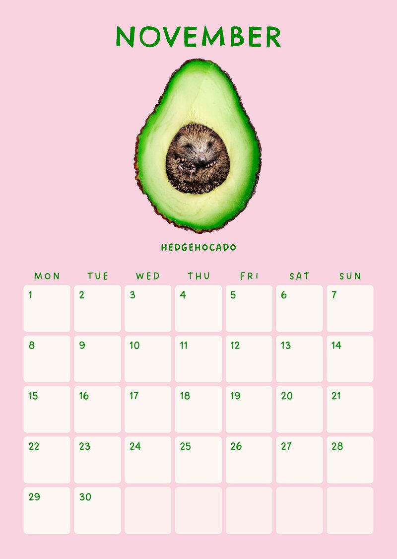 Funky Foodimals Küchenkalender & Terminplaner 2027