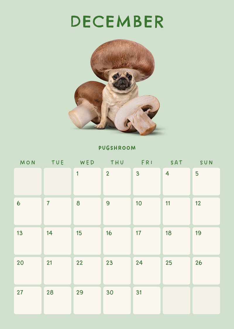 Funky Foodimals Küchenkalender & Terminplaner 2027