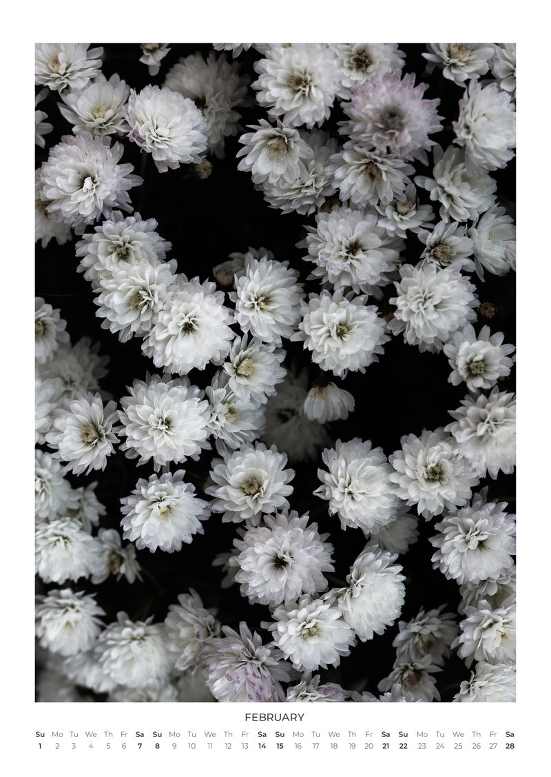 Blumen Kalender 2026 - In Bloom von Mareike Böhmer