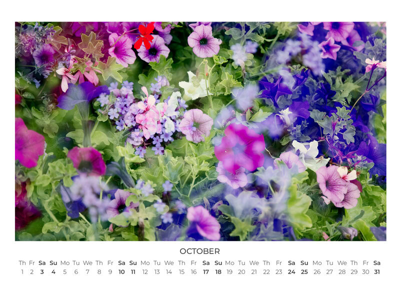 2026 Wildflower Dreams Calendar