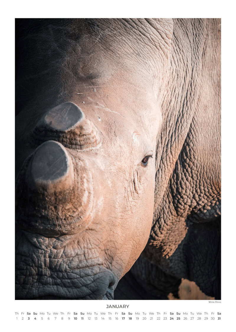 2026 South Africa's Wild Life Calendar