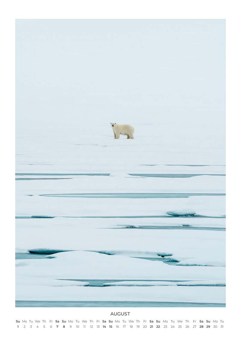A Year Closer to the Wild Calendar by Maya Santoro