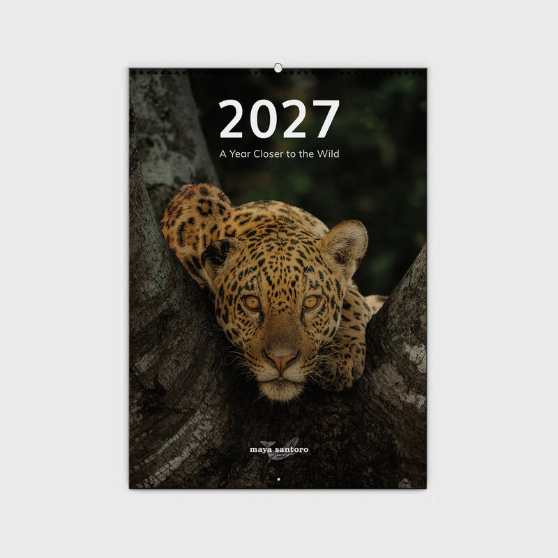 A Year Closer to the Wild Planner 2027 by Maya Santoro