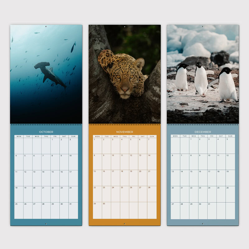 A Year Closer to the Wild Planner 2027 by Maya Santoro