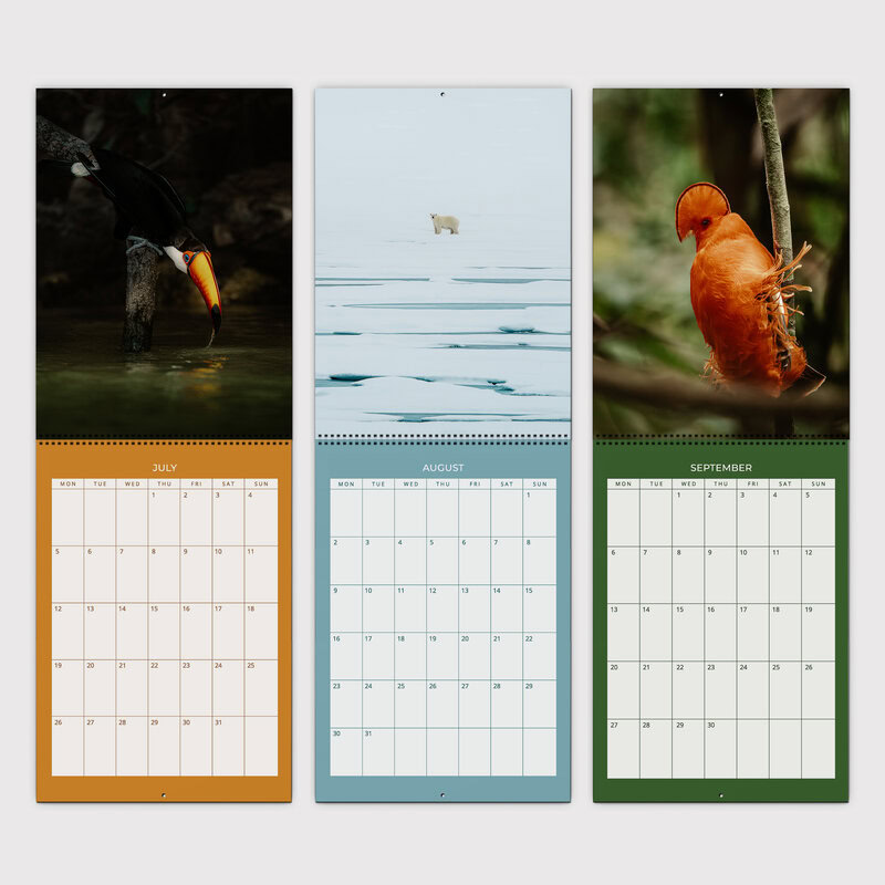 A Year Closer to the Wild Planner 2027 by Maya Santoro