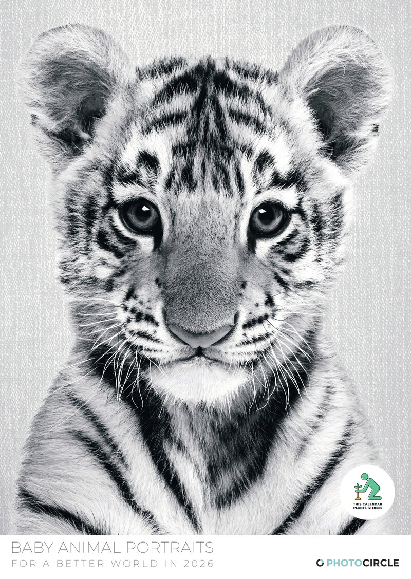Baby Animal Portraits Kalender 2026