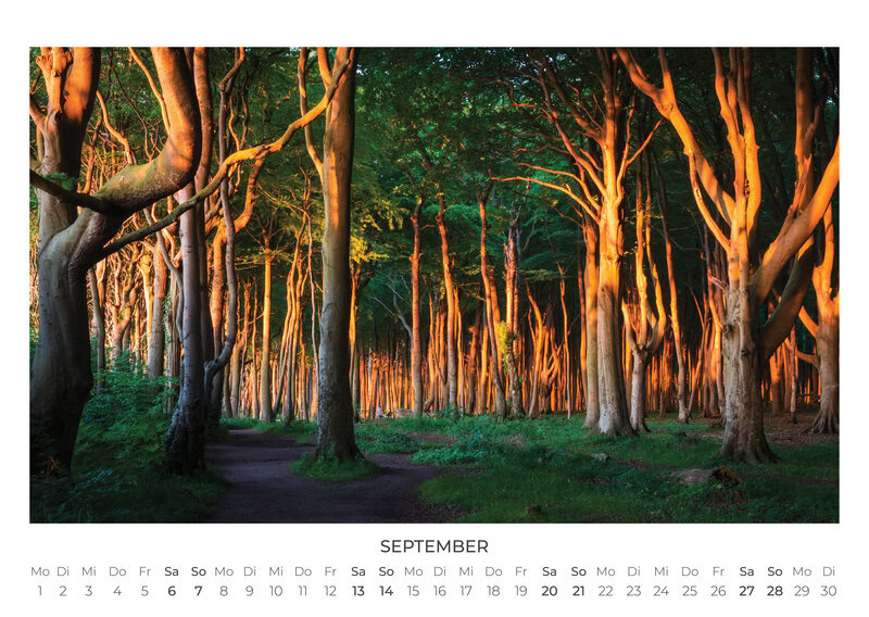 2026 Forest and Trees Calendar