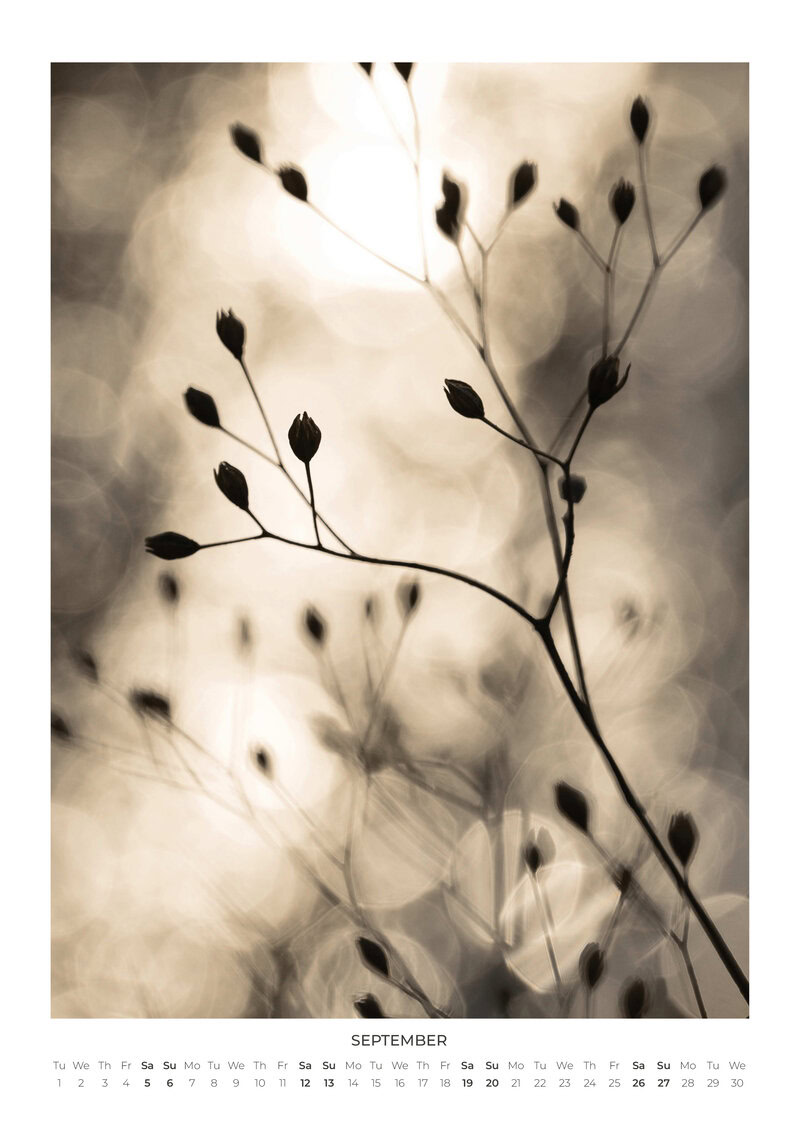 2026 Moments in Nature Calendar
