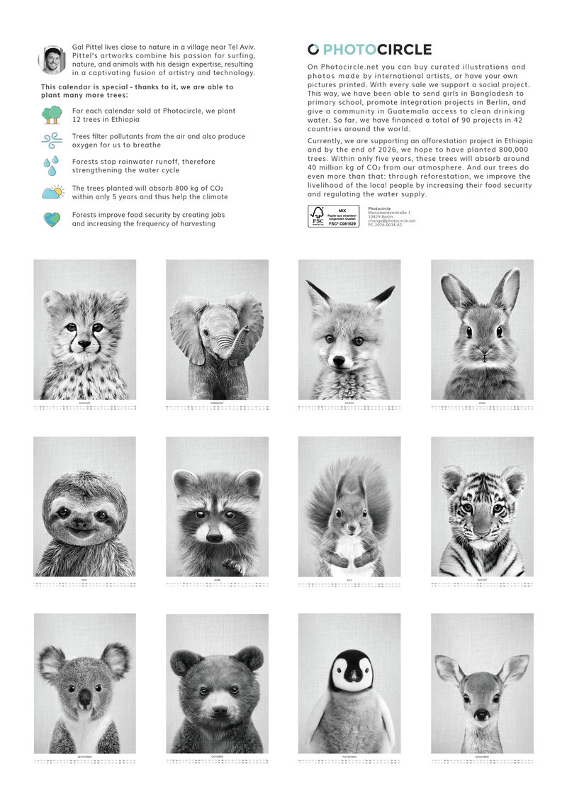 Baby Animal Portraits Kalender 2026