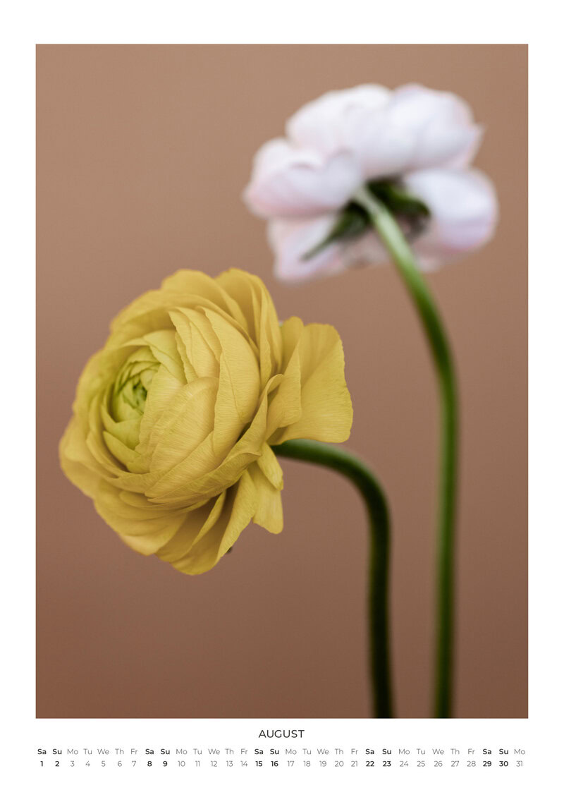Blumen Kalender 2026 - In Bloom von Mareike Böhmer
