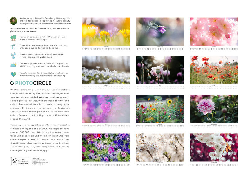 2026 Wildflower Dreams Calendar