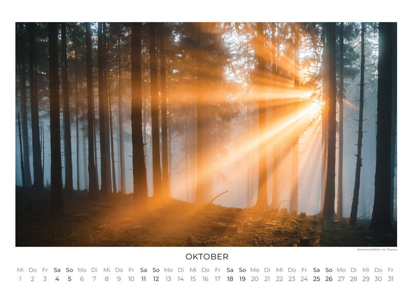 Deutschlands Wilde Wälder Calendar 2026