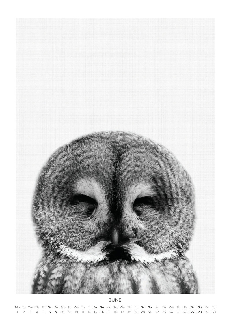 Tierportraits Kalender 2026