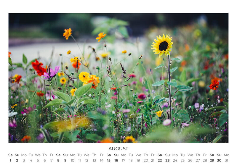 2026 Wildflower Dreams Calendar
