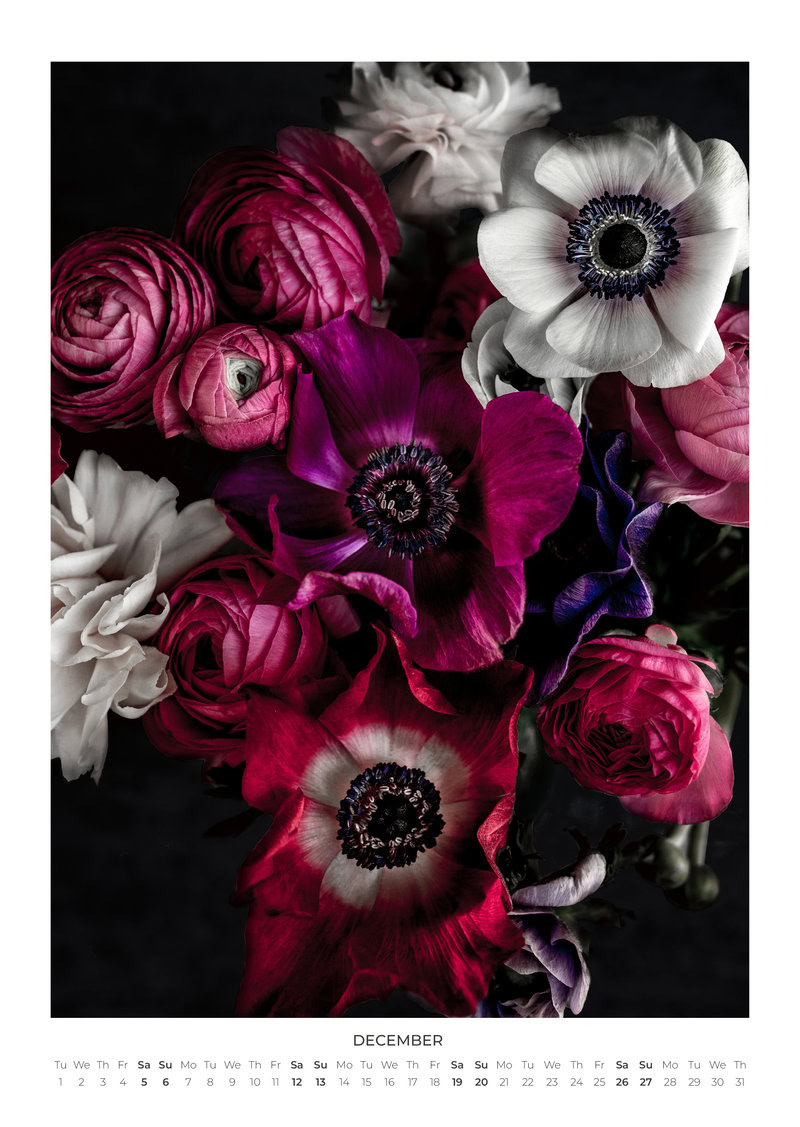 Blumen Kalender 2026 - In Bloom von Mareike Böhmer