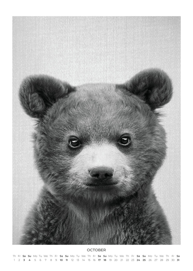 Baby Animal Portraits Kalender 2026