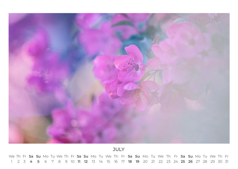 2026 Wildflower Dreams Calendar