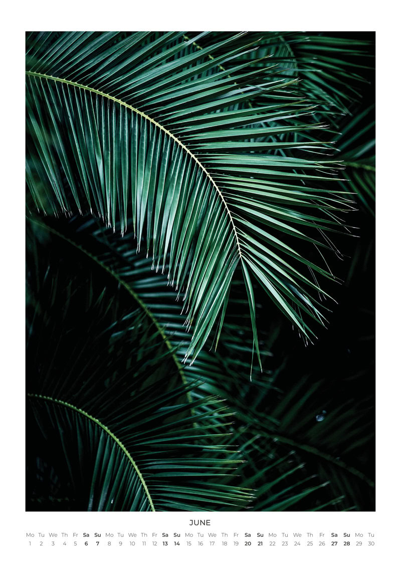 2026 Moments in Nature Calendar