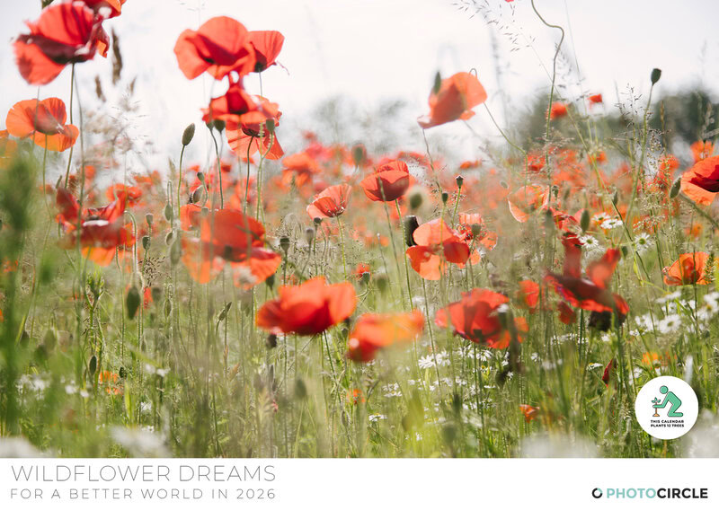 2026 Wildflower Dreams Calendar