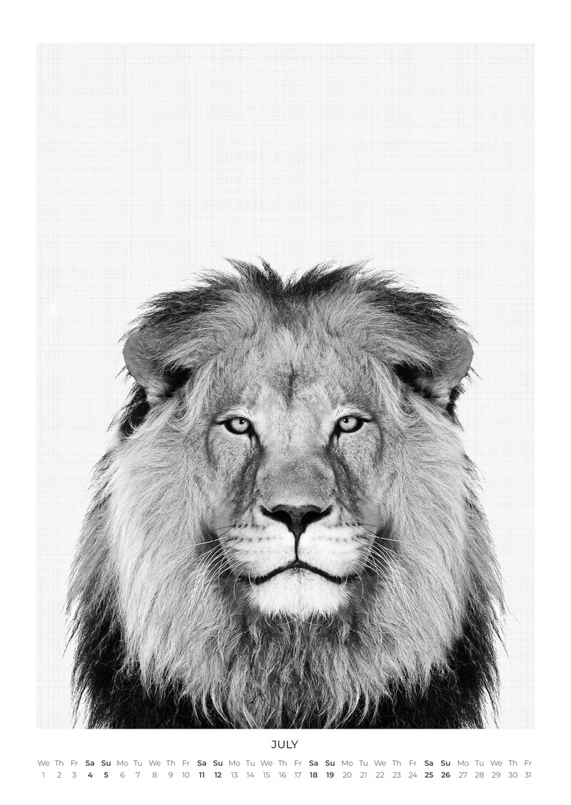 Tierportraits Kalender 2026