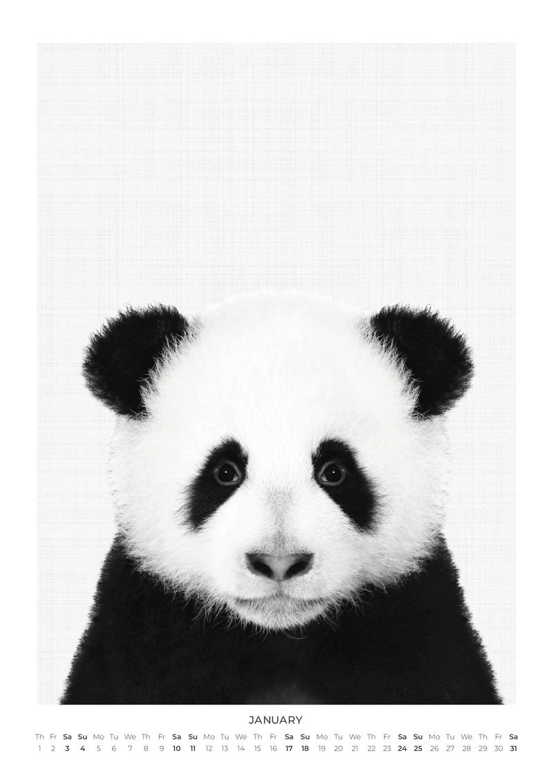Tierportraits Kalender 2026