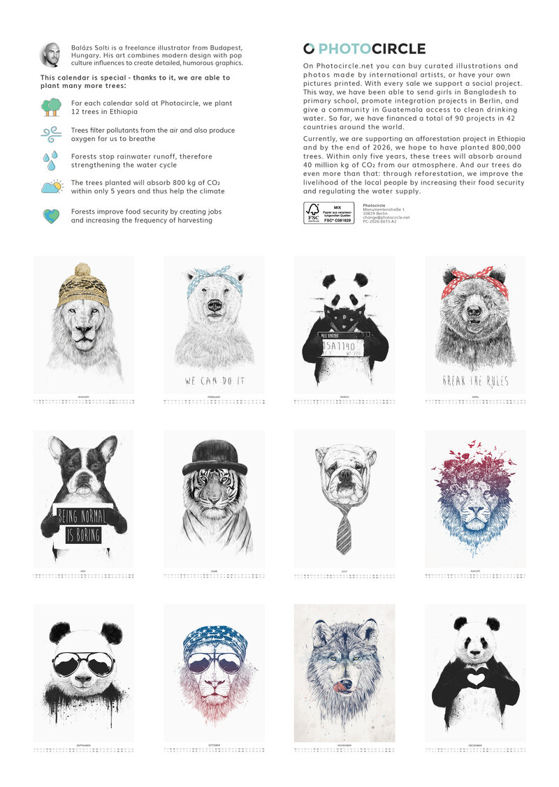 2026 Wild Whimsy Calendar