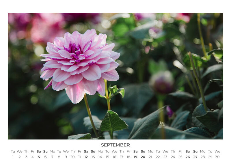 2026 Wildflower Dreams Calendar