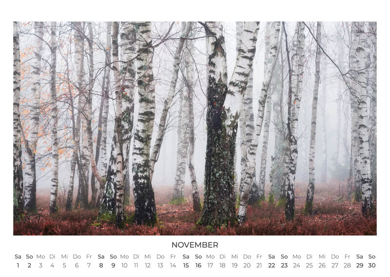 2026 Forest and Trees Calendar